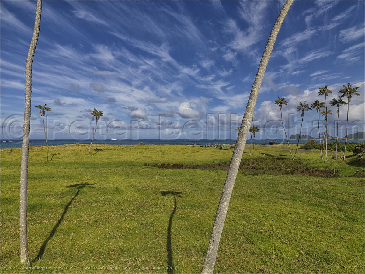 Peter Bellingham Photography Lord Howe Island - NSW SQ (PBH4 00 11780)